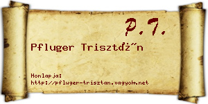 Pfluger Trisztán névjegykártya